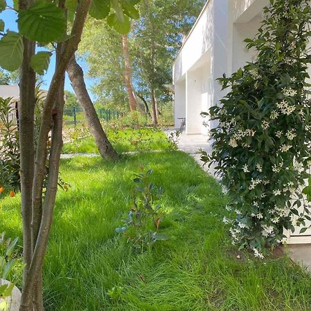 Villa Hanna Ulcinj Extérieur photo